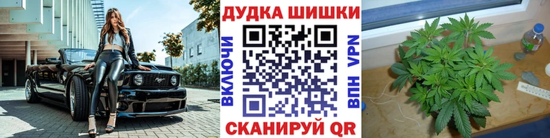 A PVP Дзержинский