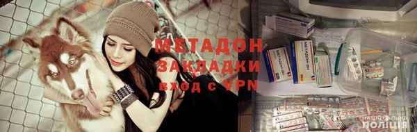 прущие грибы Алзамай