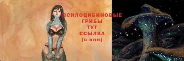 прущие грибы Алзамай