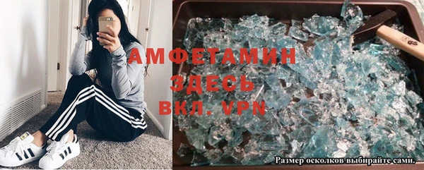 прущие грибы Алзамай