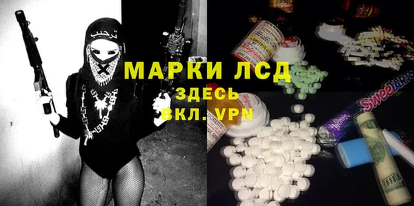 прущие грибы Алзамай