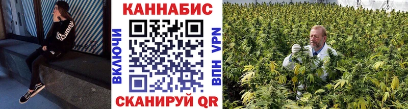 где продают   Дзержинский  МАРИХУАНА тримм 